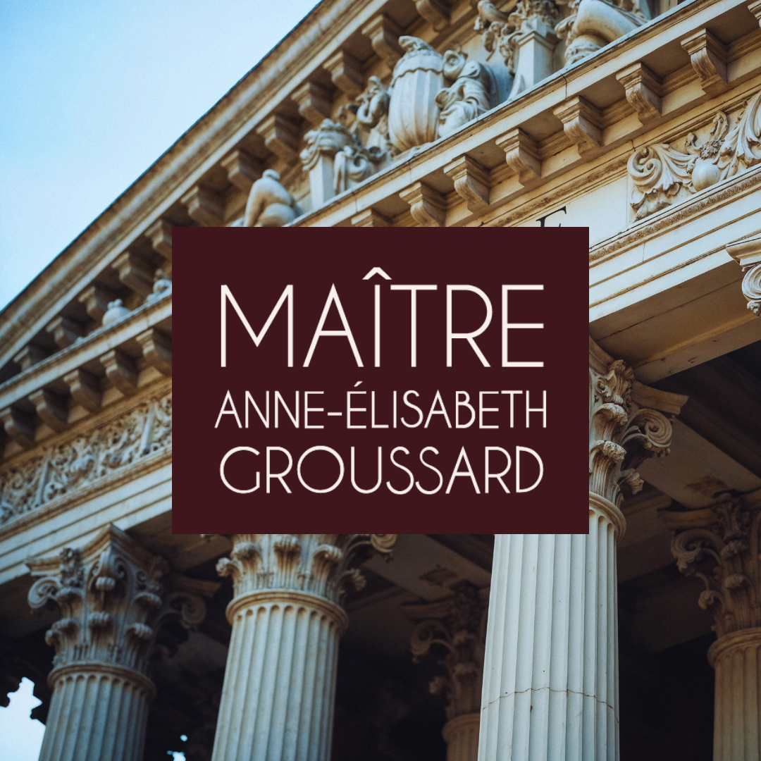 Maître Anne-Elisabeth GROUSSARD logo sur fond image